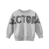 2023. aasta kevad-sügis, uued lapsed, poisid, mood pikkade varrukatega kirjad, puuvillane dressipluus, pullover, top kapuutsid Dropshipping