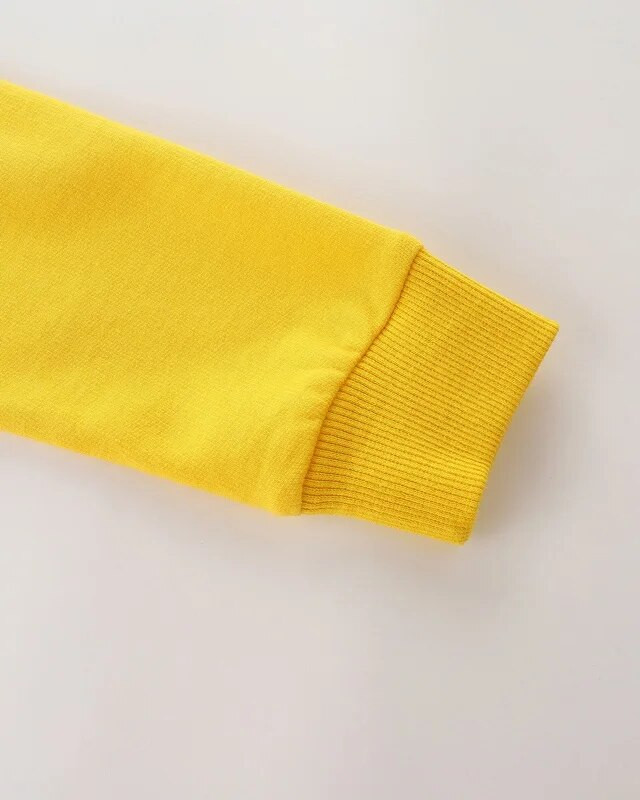 Little maven Dukserice za male dječake Odjeća za djecu Životinjski krokodil Vez Dječja odjeća Jesenska gornja odjeća za dječake