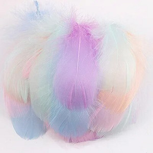 100 buc. Pene de gâscă pentru meșteșuguri 4-8cm 8-12cm Pene de lebădă Petrecere de nuntă Accesorii de artizanat Decorare Pene de prins de vise