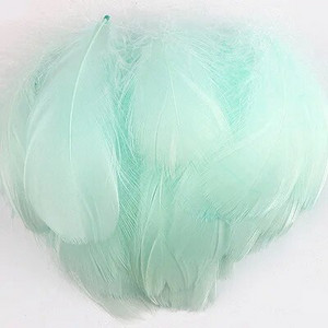 100 buc. Pene de gâscă pentru meșteșuguri 4-8cm 8-12cm Pene de lebădă Petrecere de nuntă Accesorii de artizanat Decorare Pene de prins de vise