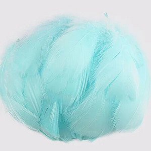100 buc. Pene de gâscă pentru meșteșuguri 4-8cm 8-12cm Pene de lebădă Petrecere de nuntă Accesorii de artizanat Decorare Pene de prins de vise