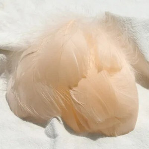 100 buc. Pene de gâscă pentru meșteșuguri 4-8cm 8-12cm Pene de lebădă Petrecere de nuntă Accesorii de artizanat Decorare Pene de prins de vise