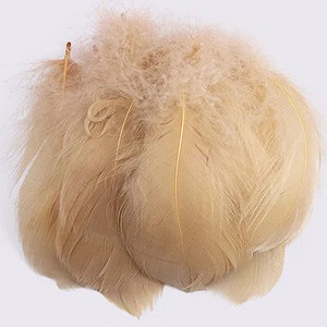 100 buc. Pene de gâscă pentru meșteșuguri 4-8cm 8-12cm Pene de lebădă Petrecere de nuntă Accesorii de artizanat Decorare Pene de prins de vise
