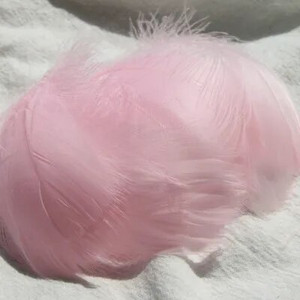 Pene de gâscă de 4-8 cm, pene de lebădă naturală, pene de lebădă, de culoare bricolaj, pentru scenă, decorare nuntă, balon plutitor