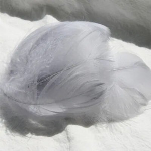 Pene de gâscă de 4-8 cm, pene de lebădă naturală, pene de lebădă, de culoare bricolaj, pentru scenă, decorare nuntă, balon plutitor