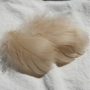 Pene de gâscă de 4-8 cm, pene de lebădă naturală, pene de lebădă, de culoare bricolaj, pentru scenă, decorare nuntă, balon plutitor