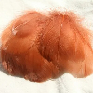 Pene de gâscă de 4-8 cm, pene de lebădă naturală, pene de lebădă, de culoare bricolaj, pentru scenă, decorare nuntă, balon plutitor