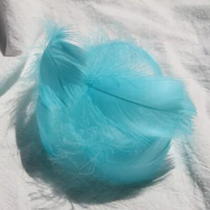 Pene de gâscă de 4-8 cm, pene de lebădă naturală, pene de lebădă, de culoare bricolaj, pentru scenă, decorare nuntă, balon plutitor