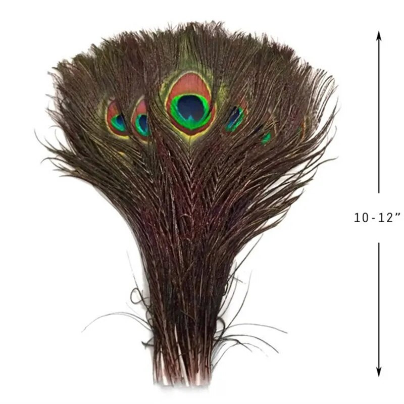 10 vnt. Natūralios tikros povo plunksnos 25-30cm/10-12 colių plunksnos amatams Vestuvinės plunksnos papuošalams gaminti Dekoracijos Plumas