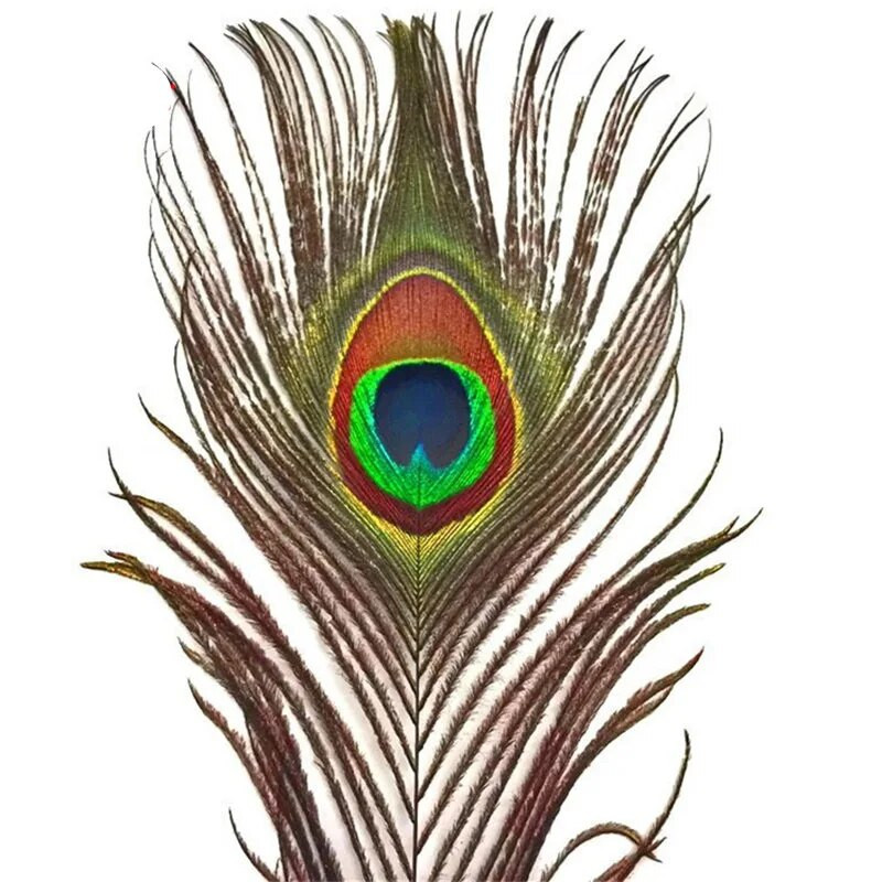 10 vnt. Natūralios tikros povo plunksnos 25-30cm/10-12 colių plunksnos amatams Vestuvinės plunksnos papuošalams gaminti Dekoracijos Plumas