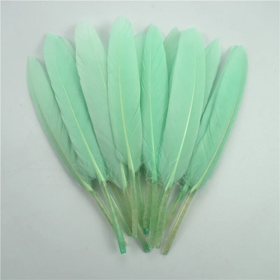 Didmeninė prekyba 10–15 cm/4–6 colių spalvingomis ančių plunksnomis, rankdarbių aksesuarais, mažomis žąsų plunksnomis, papuošalų kūrimu „pasidaryk pats“ dovanų dekoracijomis