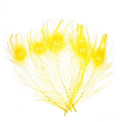 10 vnt/stal. Dažymas povo plunksnų amatams ilgis 25-30cm 10-12 colių povo plunksnos pasidaryk pats papuošalai dekoratyvinės fazanų plunksnos