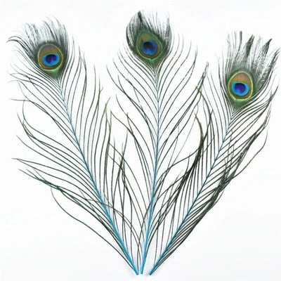 10 vnt/stal. Dažymas povo plunksnų amatams ilgis 25-30cm 10-12 colių povo plunksnos pasidaryk pats papuošalai dekoratyvinės fazanų plunksnos