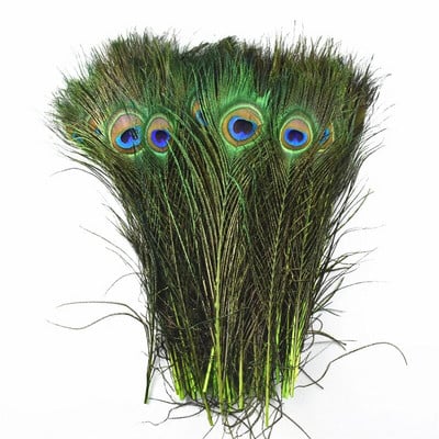 10 vnt/stal. Dažymas povo plunksnų amatams ilgis 25-30cm 10-12 colių povo plunksnos pasidaryk pats papuošalai dekoratyvinės fazanų plunksnos