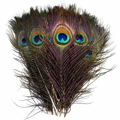 10/20 τμχ Φυσικά φτερά παγωνιού Χειροτεχνία DIY Πλούμα Φτερά Γάμου Γάμου Μαλλιά Χριστουγεννιάτικα κοσμήματα Κατασκευή Αξεσουάρ διακόσμησης