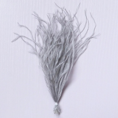 100 τμχ/παρτίδα 10-18 εκ. Φυσικά φτερά στρουθοκαμήλου Κλιπ σε προεκτάσεις μαλλιών Plumas Μεταξωτό σκουλαρίκι κατασκευής αξεσουάρ Διακοσμητικά φτερά