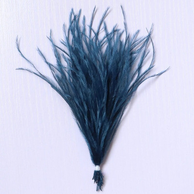 100 τμχ/παρτίδα 10-18 εκ. Φυσικά φτερά στρουθοκαμήλου Κλιπ σε προεκτάσεις μαλλιών Plumas Μεταξωτό σκουλαρίκι κατασκευής αξεσουάρ Διακοσμητικά φτερά