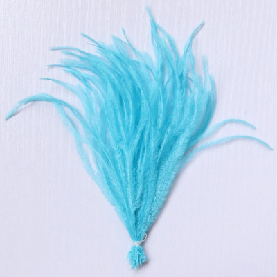 100 τμχ/παρτίδα 10-18 εκ. Φυσικά φτερά στρουθοκαμήλου Κλιπ σε προεκτάσεις μαλλιών Plumas Μεταξωτό σκουλαρίκι κατασκευής αξεσουάρ Διακοσμητικά φτερά