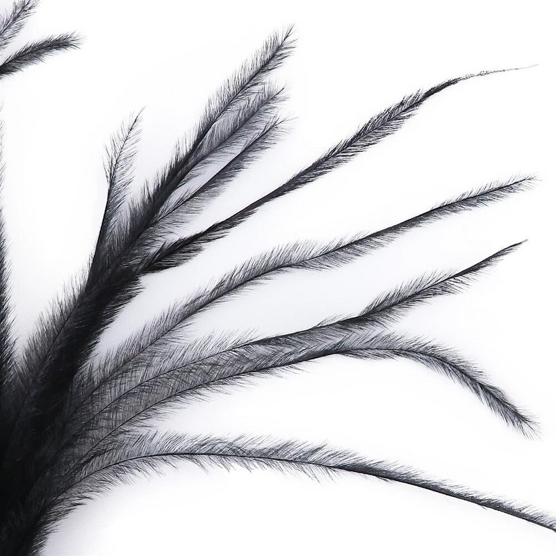 100 τμχ/παρτίδα 10-18 εκ. Φυσικά φτερά στρουθοκαμήλου Κλιπ σε προεκτάσεις μαλλιών Plumas Μεταξωτό σκουλαρίκι κατασκευής αξεσουάρ Διακοσμητικά φτερά