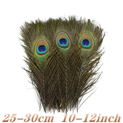 10 tk/partii naturaalsed ehtsad paabulinnusuled kaunistuseks Vaasid Käsitöö Pikad ploomid Mõõgasuled Dekoor ehete loomise tarvikud