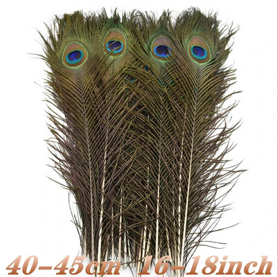 10 tk/partii naturaalsed ehtsad paabulinnusuled kaunistuseks Vaasid Käsitöö Pikad ploomid Mõõgasuled Dekoor ehete loomise tarvikud