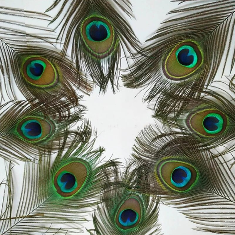 10 tk/partii naturaalsed ehtsad paabulinnusuled kaunistuseks Vaasid Käsitöö Pikad ploomid Mõõgasuled Dekoor ehete loomise tarvikud