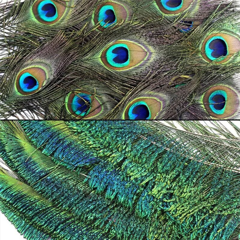 10 tk/partii naturaalsed ehtsad paabulinnusuled kaunistuseks Vaasid Käsitöö Pikad ploomid Mõõgasuled Dekoor ehete loomise tarvikud