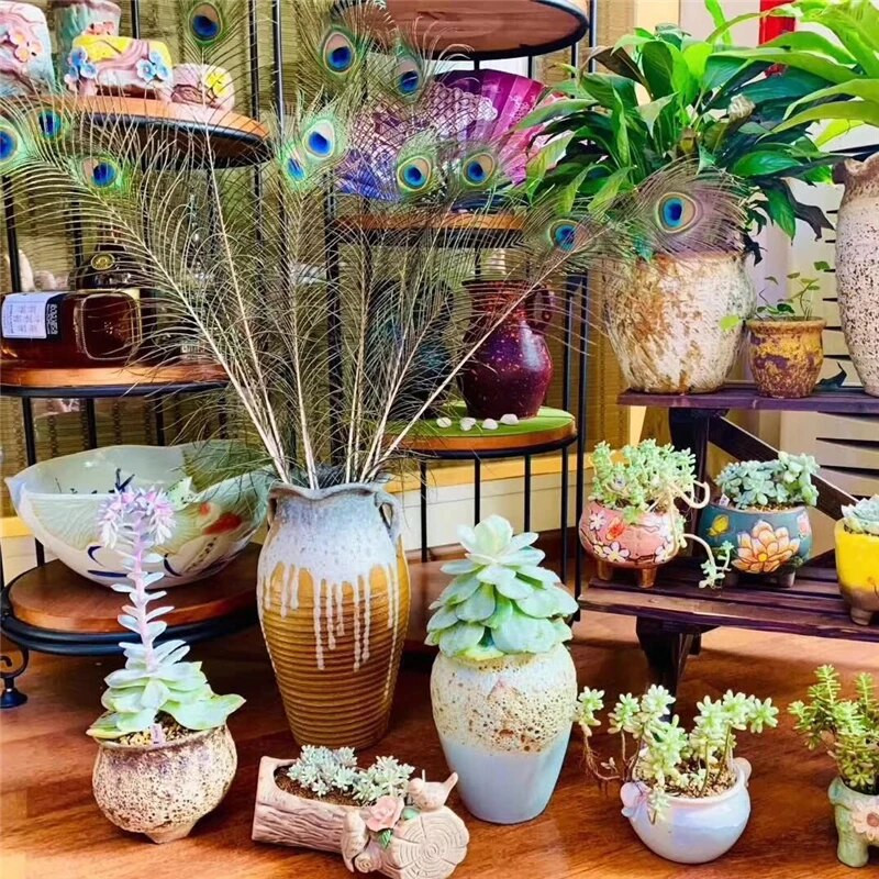 10 tk/partii naturaalsed ehtsad paabulinnusuled kaunistuseks Vaasid Käsitöö Pikad ploomid Mõõgasuled Dekoor ehete loomise tarvikud