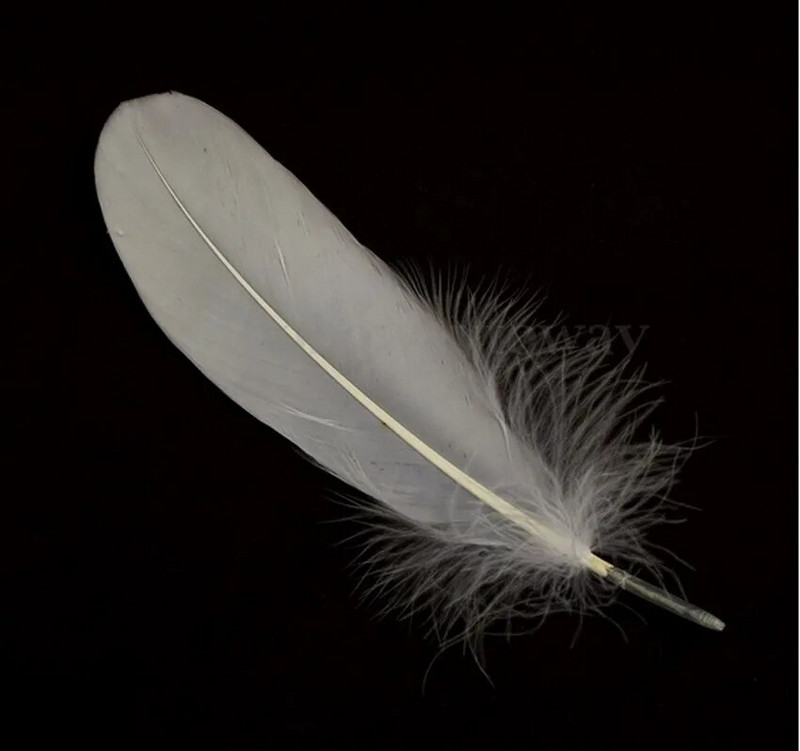 Kuumad 50 tk valged ilusad suured hanesuled 15-22cm / 5,91''-8,66'' kõrge kvaliteediga