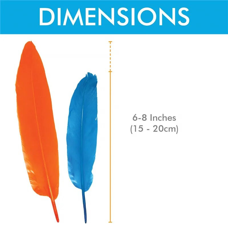 Natūralios kietos žąsų plunksnos amatams Plunksnos 6-8 colių / 15-20 cm Juvelyriniai dirbiniai Anties fazano plunksnos vestuvių namų dekoravimas