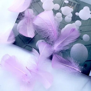 Minkštas pūkuotas plunksnas 100vnt 4-8cm 8-12cm plaukiojantis žąsies plunksnas, pasidaryk pats, mažų plunksnų festivalio vakarėlis, pasidaryk pats, amatų vestuvių dekoravimas