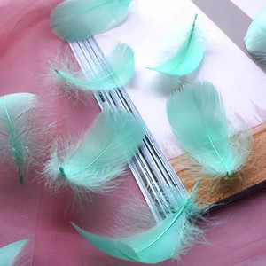 Minkštas pūkuotas plunksnas 100vnt 4-8cm 8-12cm plaukiojantis žąsies plunksnas, pasidaryk pats, mažų plunksnų festivalio vakarėlis, pasidaryk pats, amatų vestuvių dekoravimas