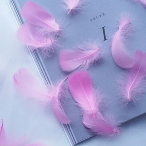 Minkštas pūkuotas plunksnas 100vnt 4-8cm 8-12cm plaukiojantis žąsies plunksnas, pasidaryk pats, mažų plunksnų festivalio vakarėlis, pasidaryk pats, amatų vestuvių dekoravimas