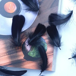 Minkštas pūkuotas plunksnas 100vnt 4-8cm 8-12cm plaukiojantis žąsies plunksnas, pasidaryk pats, mažų plunksnų festivalio vakarėlis, pasidaryk pats, amatų vestuvių dekoravimas