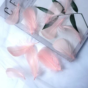 Minkštas pūkuotas plunksnas 100vnt 4-8cm 8-12cm plaukiojantis žąsies plunksnas, pasidaryk pats, mažų plunksnų festivalio vakarėlis, pasidaryk pats, amatų vestuvių dekoravimas