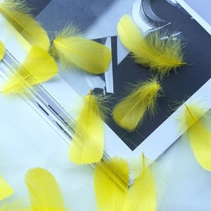 Minkštas pūkuotas plunksnas 100vnt 4-8cm 8-12cm plaukiojantis žąsies plunksnas, pasidaryk pats, mažų plunksnų festivalio vakarėlis, pasidaryk pats, amatų vestuvių dekoravimas