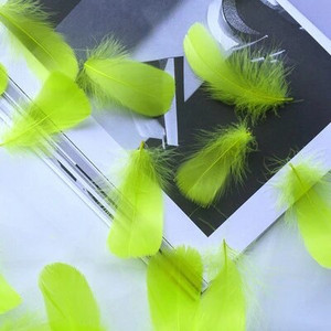Minkštas pūkuotas plunksnas 100vnt 4-8cm 8-12cm plaukiojantis žąsies plunksnas, pasidaryk pats, mažų plunksnų festivalio vakarėlis, pasidaryk pats, amatų vestuvių dekoravimas