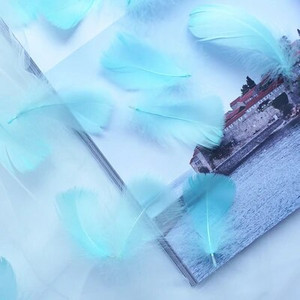 Minkštas pūkuotas plunksnas 100vnt 4-8cm 8-12cm plaukiojantis žąsies plunksnas, pasidaryk pats, mažų plunksnų festivalio vakarėlis, pasidaryk pats, amatų vestuvių dekoravimas