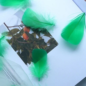 Minkštas pūkuotas plunksnas 100vnt 4-8cm 8-12cm plaukiojantis žąsies plunksnas, pasidaryk pats, mažų plunksnų festivalio vakarėlis, pasidaryk pats, amatų vestuvių dekoravimas