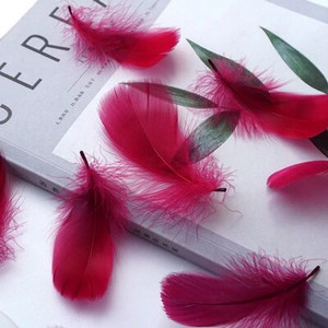 Minkštas pūkuotas plunksnas 100vnt 4-8cm 8-12cm plaukiojantis žąsies plunksnas, pasidaryk pats, mažų plunksnų festivalio vakarėlis, pasidaryk pats, amatų vestuvių dekoravimas