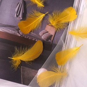 Minkštas pūkuotas plunksnas 100vnt 4-8cm 8-12cm plaukiojantis žąsies plunksnas, pasidaryk pats, mažų plunksnų festivalio vakarėlis, pasidaryk pats, amatų vestuvių dekoravimas