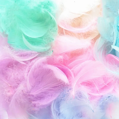 Soft Fluffy Plume 100τμ 4-8cm 8-12cm Floating Feather Goose DIY Small Feathers Festival Party DIY Craft Wedding Decoration