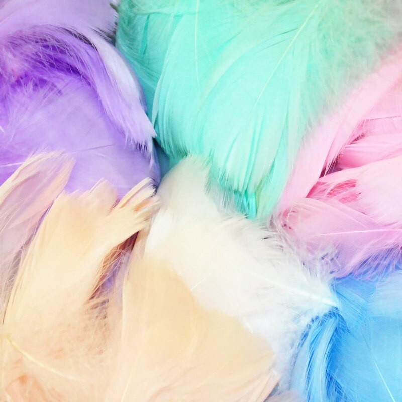 Minkštas pūkuotas plunksnas 100vnt 4-8cm 8-12cm plaukiojantis žąsies plunksnas, pasidaryk pats, mažų plunksnų festivalio vakarėlis, pasidaryk pats, amatų vestuvių dekoravimas
