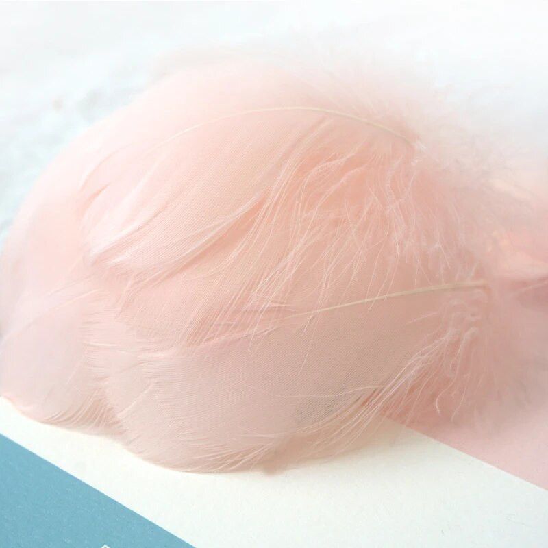 Minkštas pūkuotas plunksnas 100vnt 4-8cm 8-12cm plaukiojantis žąsies plunksnas, pasidaryk pats, mažų plunksnų festivalio vakarėlis, pasidaryk pats, amatų vestuvių dekoravimas