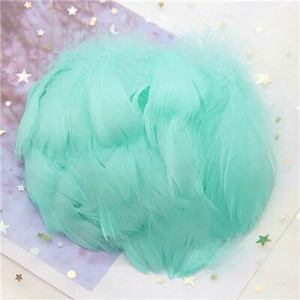 Natūralios žąsies plunksnos 4-8cm Mažos plaukiojančios spalvingos gulbės plunksnos, skirtos rankdarbiams, vestuviniams papuošalams namų dekoravimui, plunksnos 100 vnt.