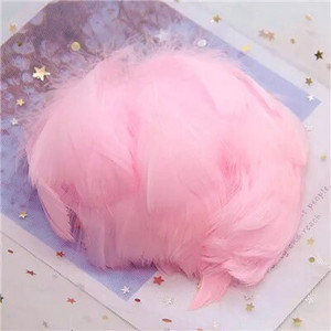 Natūralios žąsies plunksnos 4-8cm Mažos plaukiojančios spalvingos gulbės plunksnos, skirtos rankdarbiams, vestuviniams papuošalams namų dekoravimui, plunksnos 100 vnt.