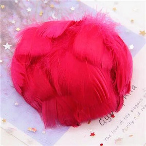 Natūralios žąsies plunksnos 4-8cm Mažos plaukiojančios spalvingos gulbės plunksnos, skirtos rankdarbiams, vestuviniams papuošalams namų dekoravimui, plunksnos 100 vnt.