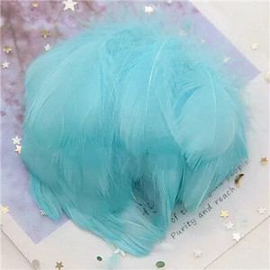 Natūralios žąsies plunksnos 4-8cm Mažos plaukiojančios spalvingos gulbės plunksnos, skirtos rankdarbiams, vestuviniams papuošalams namų dekoravimui, plunksnos 100 vnt.