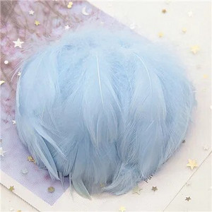 Natūralios žąsies plunksnos 4-8cm Mažos plaukiojančios spalvingos gulbės plunksnos, skirtos rankdarbiams, vestuviniams papuošalams namų dekoravimui, plunksnos 100 vnt.