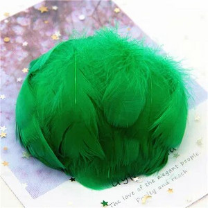 Natūralios žąsies plunksnos 4-8cm Mažos plaukiojančios spalvingos gulbės plunksnos, skirtos rankdarbiams, vestuviniams papuošalams namų dekoravimui, plunksnos 100 vnt.